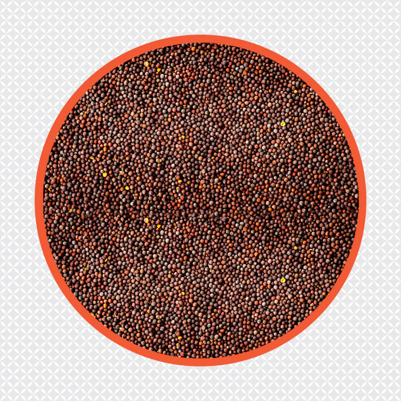 (Ambika) Mustard Seed 500g - Image 3