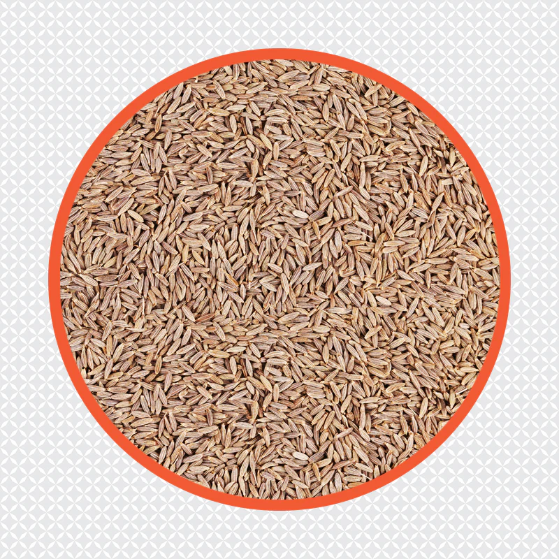 (Ambika) Cumin Whole 1kg - Image 3