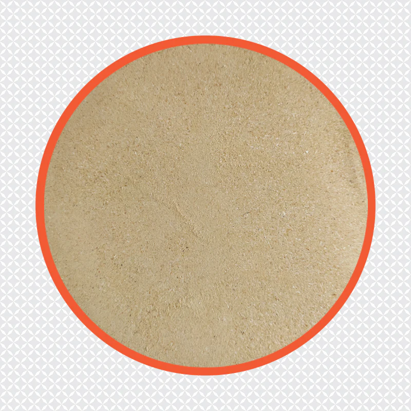 (Ambika) Garlic Powder 500g - Image 3