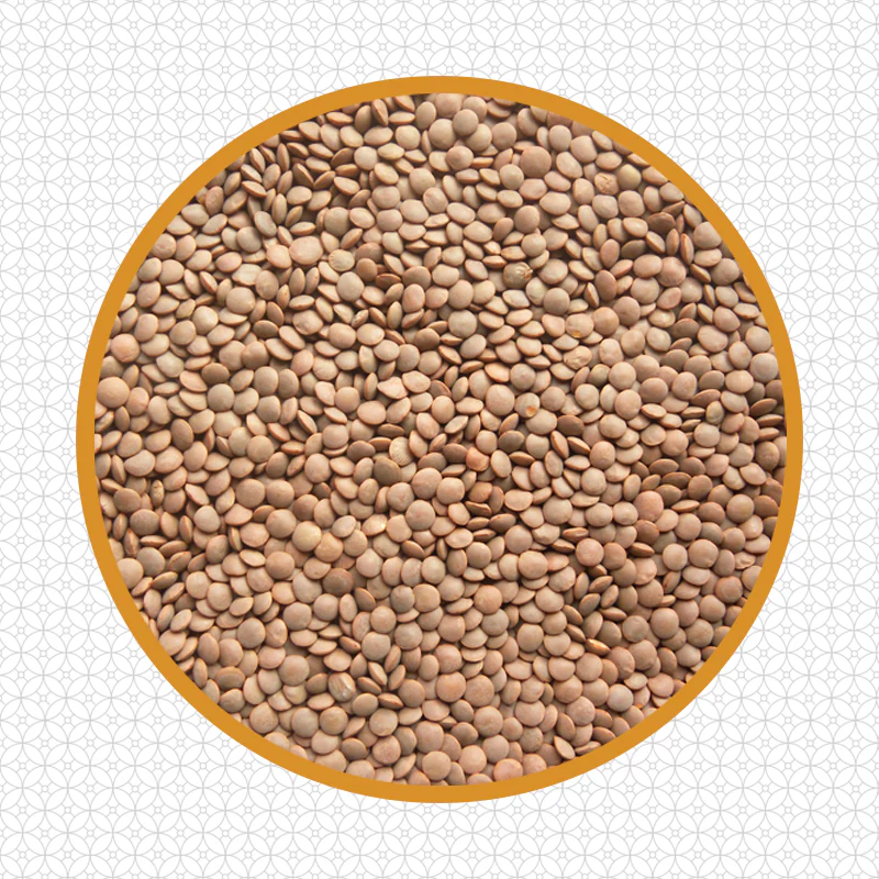 (Ambika) Masoor Whole 1kg - Image 3