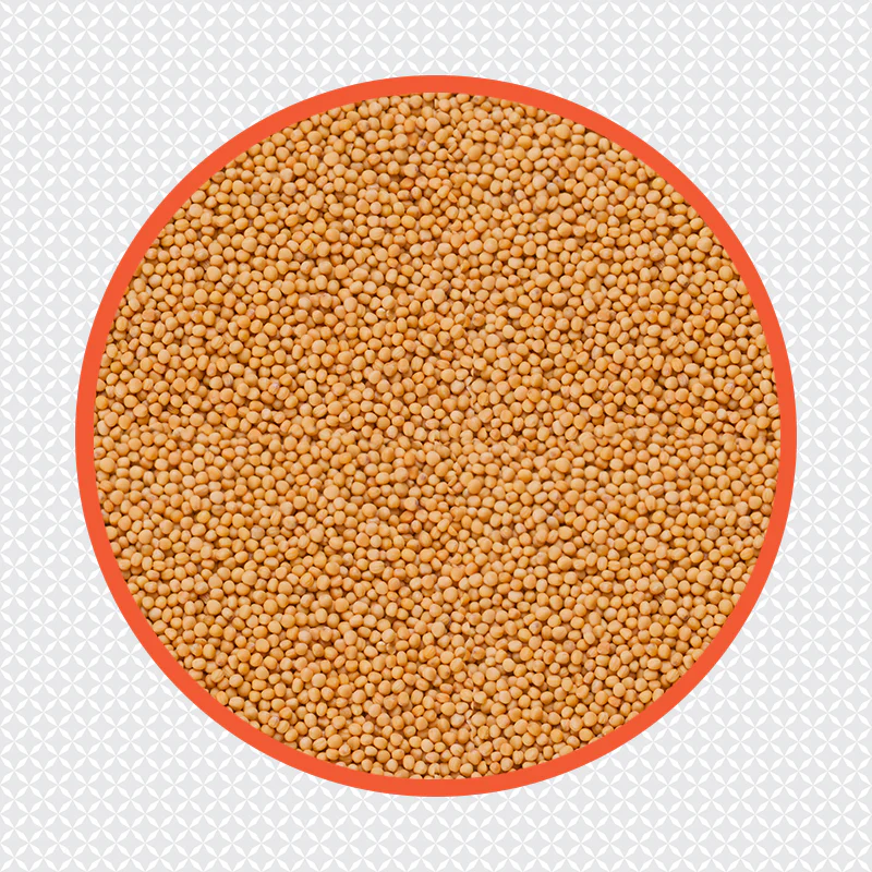 (Ambika) Yellow Mustard Seed 500g - Image 3
