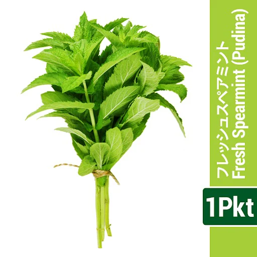 Fresh Spearmint (PUDINA) 1Pkt